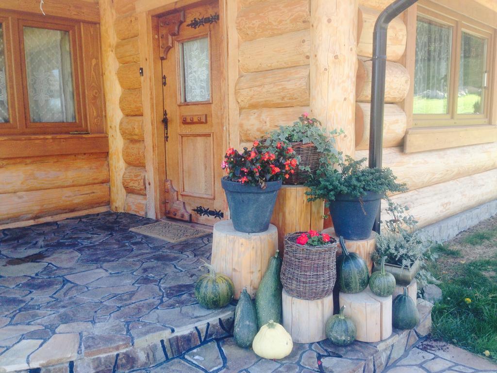 Udany Weekend Apartment Ustrzyki Dolne Luaran gambar